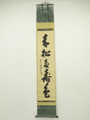 前大徳寺　藤井誠堂筆　「青松多寿色」一行書　肉筆紙本掛軸